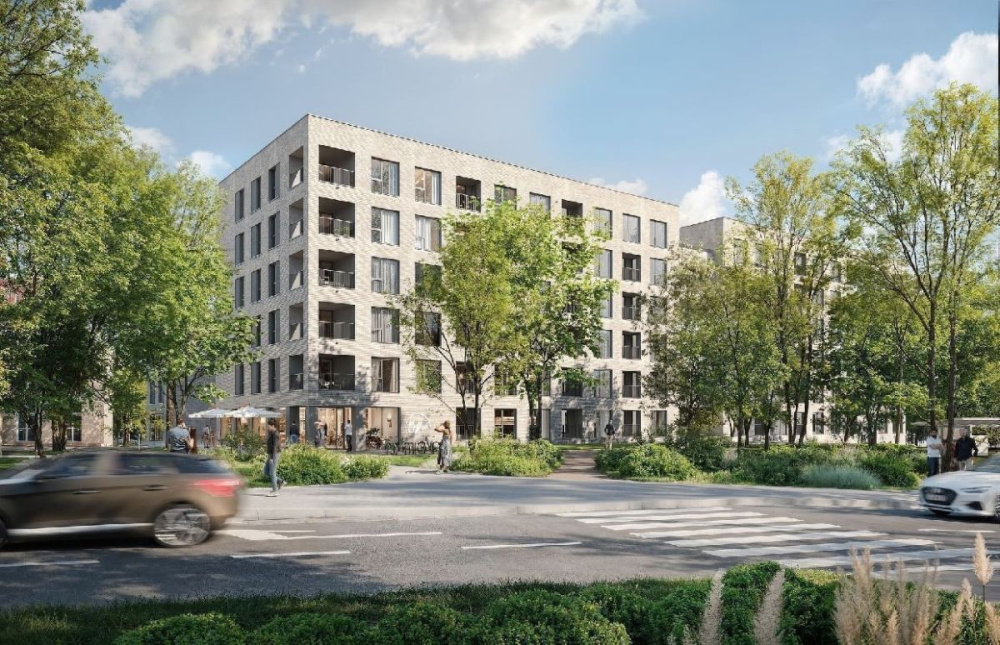 Przestronna kawale w centrum Zielonej Góry - 15990314