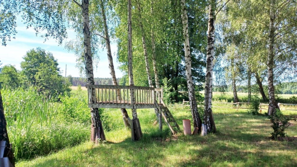 Unikalna NieruchomoŚĆ W Zaborze - 16090314