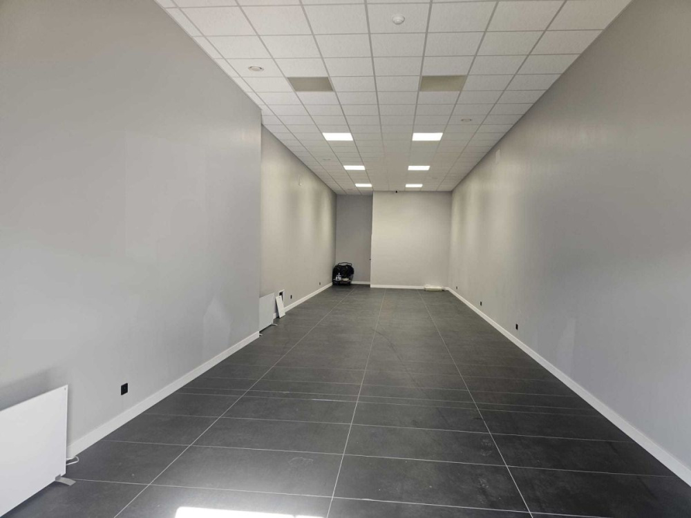Obiekt usługowo-magazynowy w pobliżu centrum - 16220314