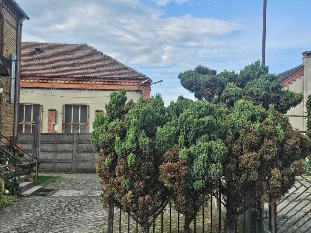 Budynki przemysłowe z potencjałem w Lubsku - 16280314