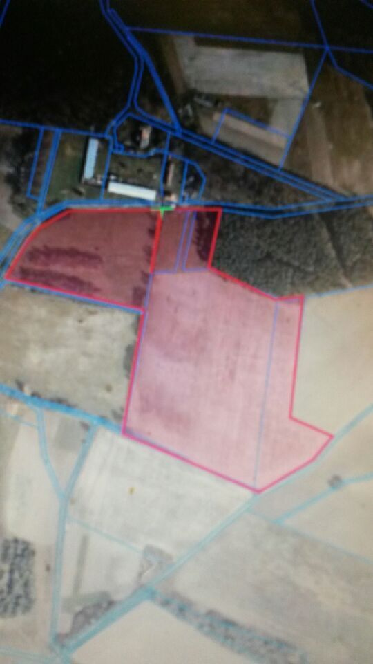 DZIAŁKA ROLNA  8,17 HEKTARA W ŚWIDNICY - 5360314